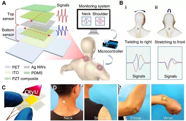 香港城大楊征保課題組Science子刊：一種新型柔性壓電陶瓷剪紙，用于預(yù)防關(guān)節(jié)疾病